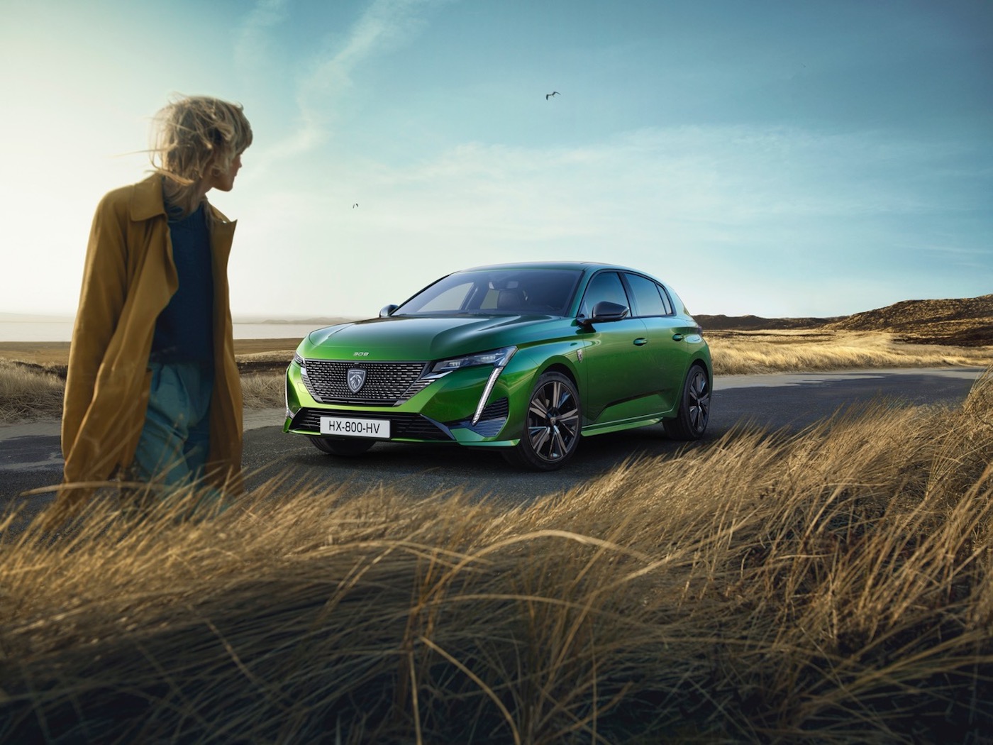 Print-P51-PHEV_low